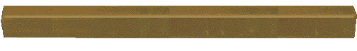 Wooden Leg
